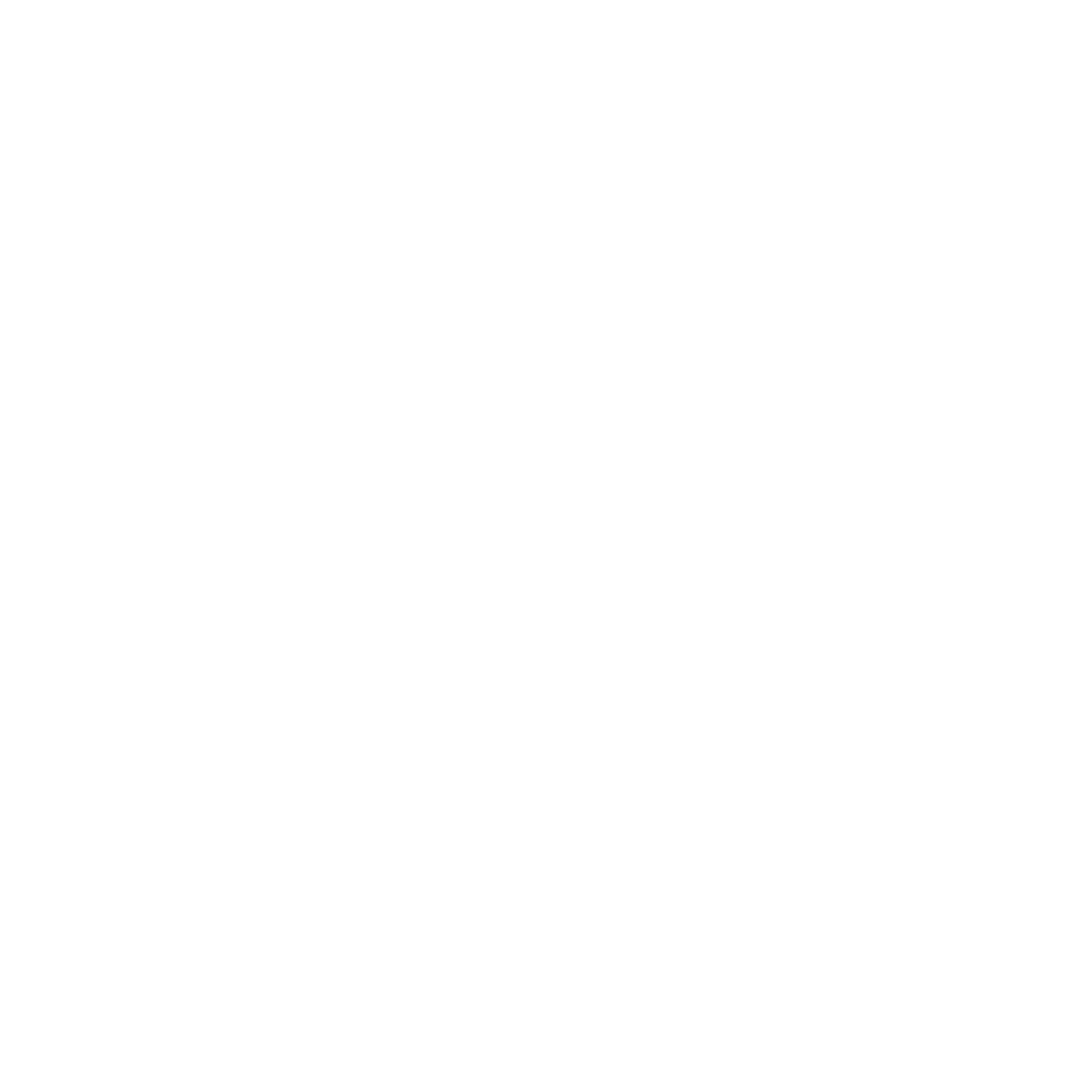 Amido External Logo RGB White copy-1